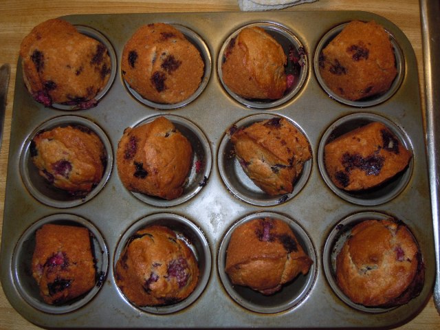 This morning I made these muffins with fresh berries. they turned out crunchy on the outside and almost pudding-like on the inside, just the way I like...